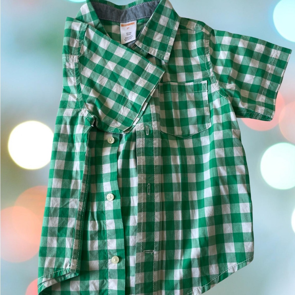 Green and White Gymboree Button Down Shirt